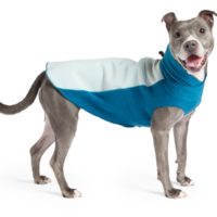 Donate a Used Dog Coat to Save on a New One - Lucky Puppy Magazine