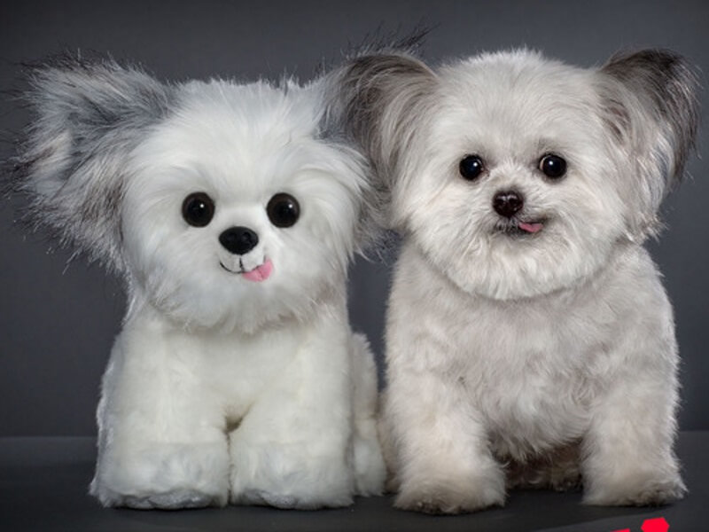 lhasa apso stuffed toy